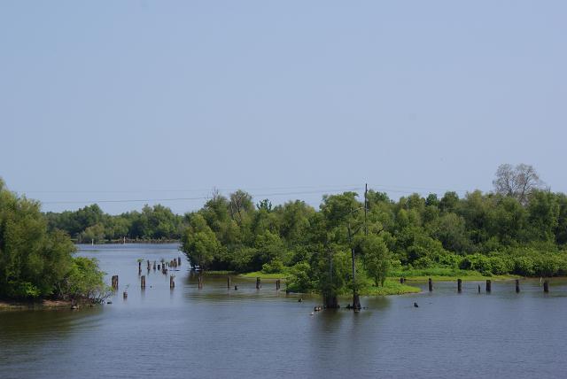 Lake Pelba Louisana Swamp on I10